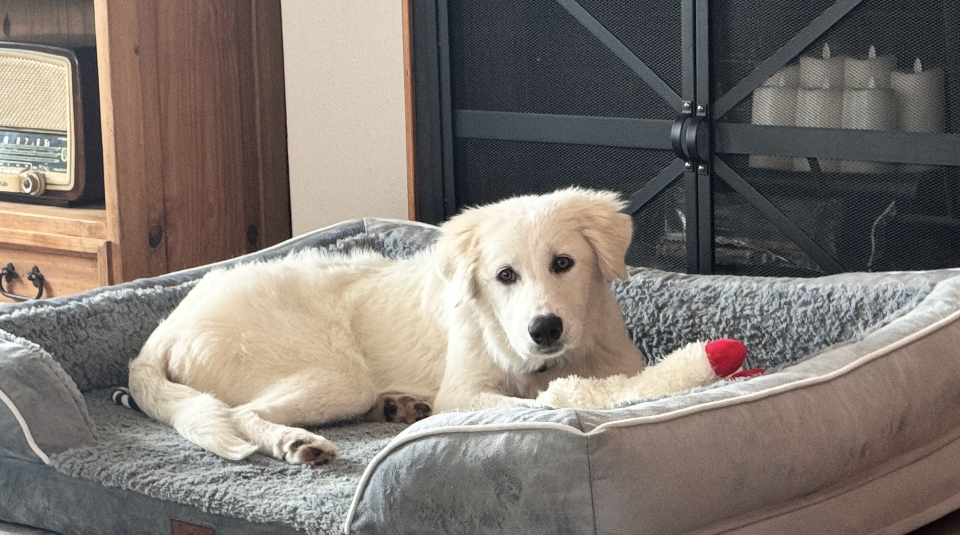 Zoe